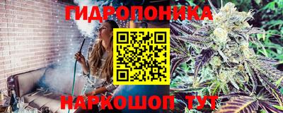 мяу мяу мука Бугуруслан
