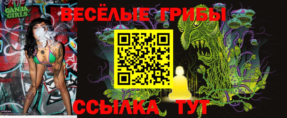 Галлюциногенные грибы Psilocybine cubensis  Галлюциногенные грибы прущие грибы  Вход с VPN  Пугачёв 