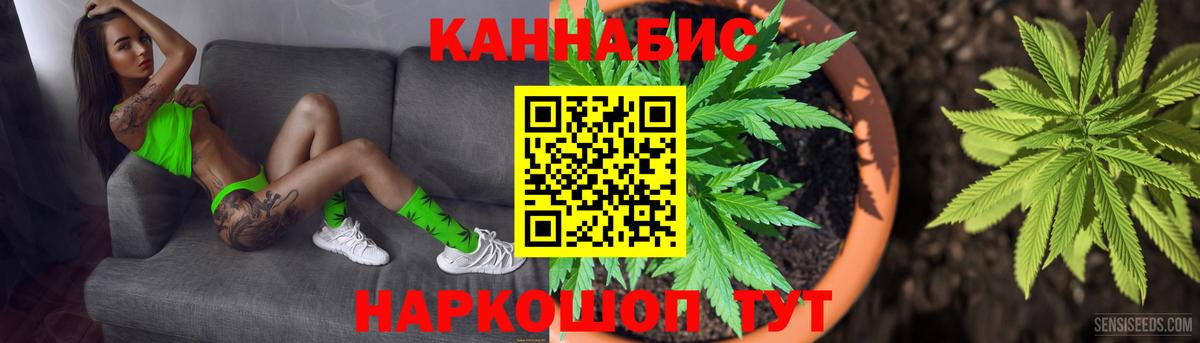Марихуана гибрид  Канабис Bruce Banner  Пугачёв  Бошки марихуана семена  Вход с VPN 
